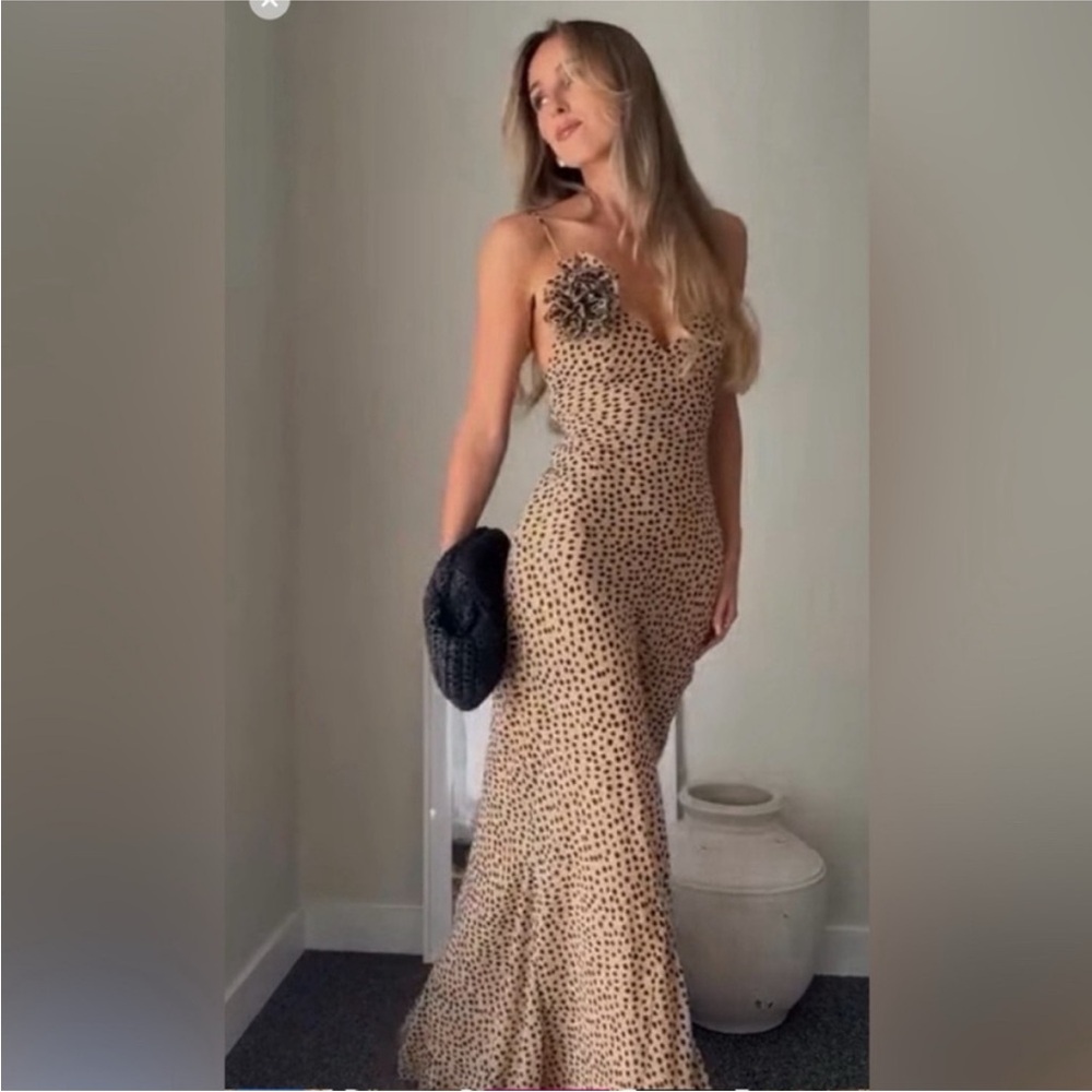 Zara Tan Polka Dot Dress